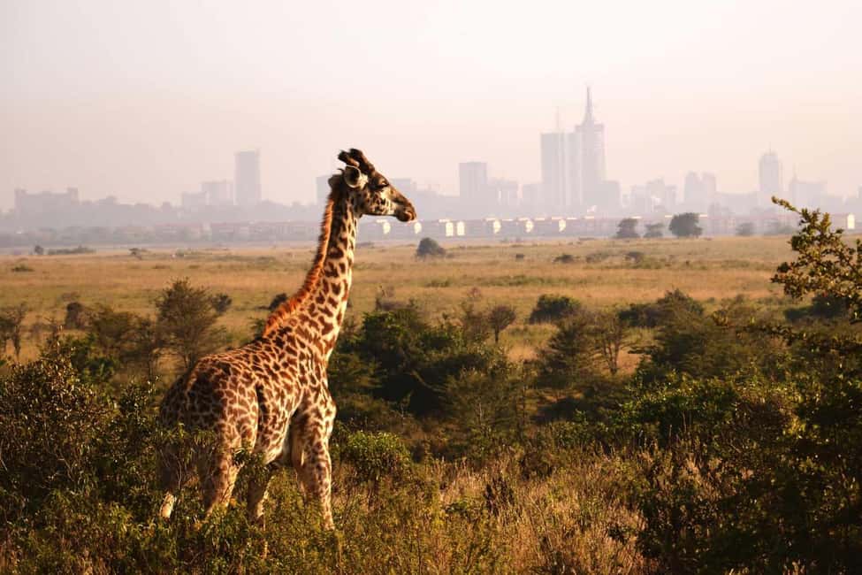 image n.4 of Nairobi: NBO Airport to City Centre|Hotels Private Transfer activity in Nairobi, uploaded by supplier