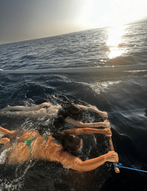 imagem n.14 de Lovina/Bali: Visita de observação de golfinhos, natação e snorkeling atividade em Lovina, carregada pelo fornecedor