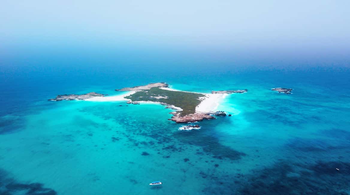 Immagine nº 14 di Muscat: tour privato in barca delle isole Daymaniyat con snorkeling attività a Oman, caricata dal fornitore