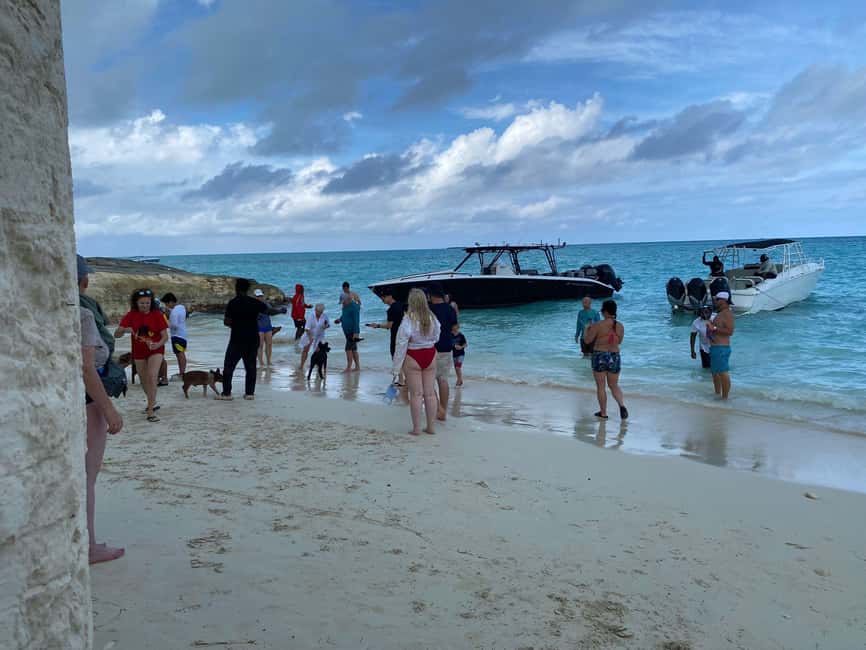 image n.38 of Nassau: 3 Islands Tour, Snorkel, Pig Beach, Turtles & Lunch activity in Berry Islands, uploaded by supplier