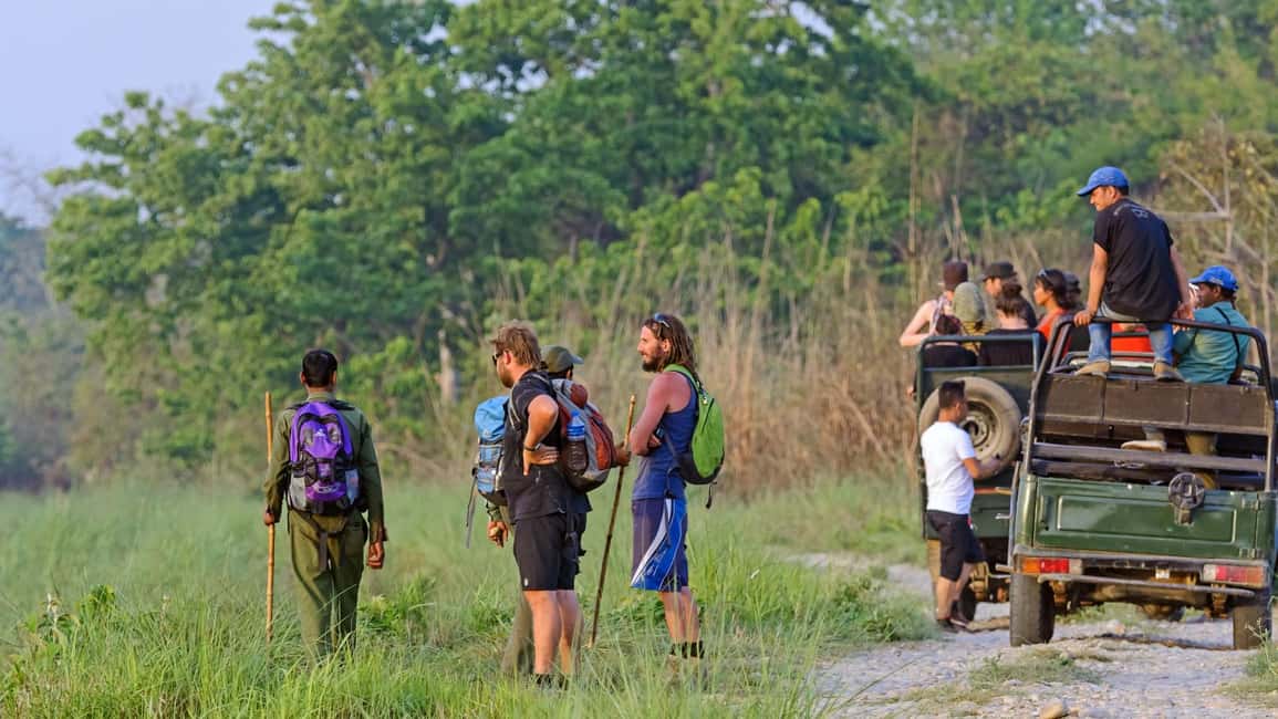 image n.6 of Kathmandu/Pokhara: 3 Day Chitwan Jungle Safari Tour activity in Pashchimanchal, Western Region, uploaded by supplier