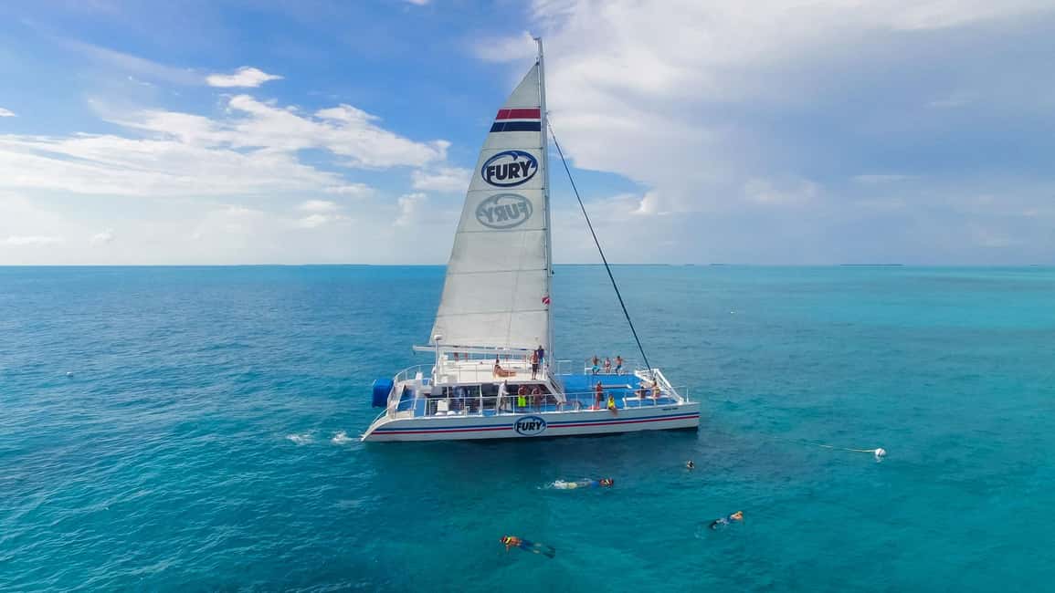 imagen n.º 14 de Desde Miami Excursión de un día a Cayo Hueso actividad en Cayo Hueso, subida por el proveedor