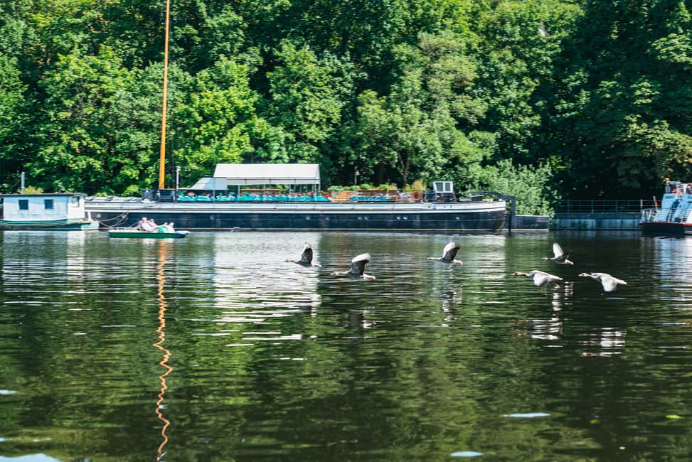 Bild Nr. 11 von Berlin: Bootstour auf der Spree zum Müggelsee Aktivität in Berlin, hochgeladen vom Anbieter