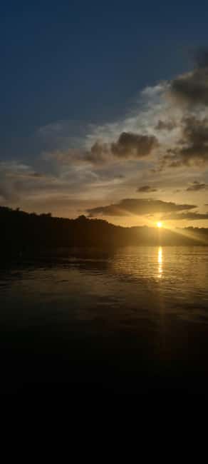 image n.12 of Caroni: Bird Sanctuary Wildlife Swamp Tour activity in San Juan-Laventille, uploaded by supplier