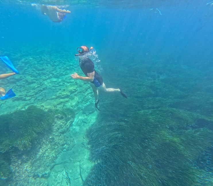 image n.9 of Paphos: Turtle-Watching Snorkeling Sea Scooter Trip activity in Paphos, uploaded by supplier