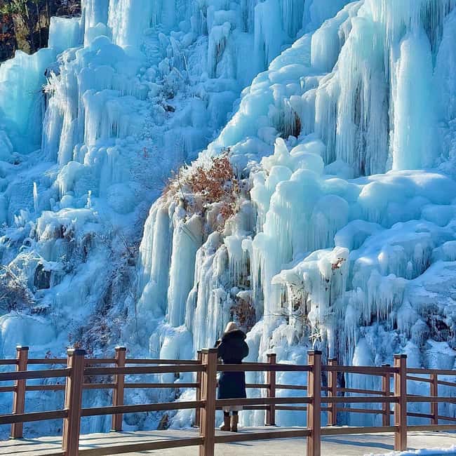 imagen n.º 5 de Desde Seúl: Alpaca World, Eobi Ice Valley, isla de Nami actividad en Chuncheon, subida por el proveedor