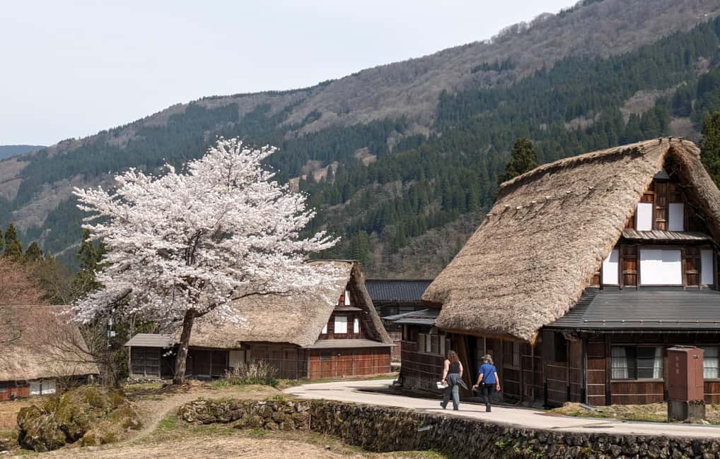 obrázek č.6 aktivity Z Kanazawy: Shirakawa-go, Gokayama a řezbářské umění v destinaci Kanazawa, nahraný poskytovatelem aktivity
