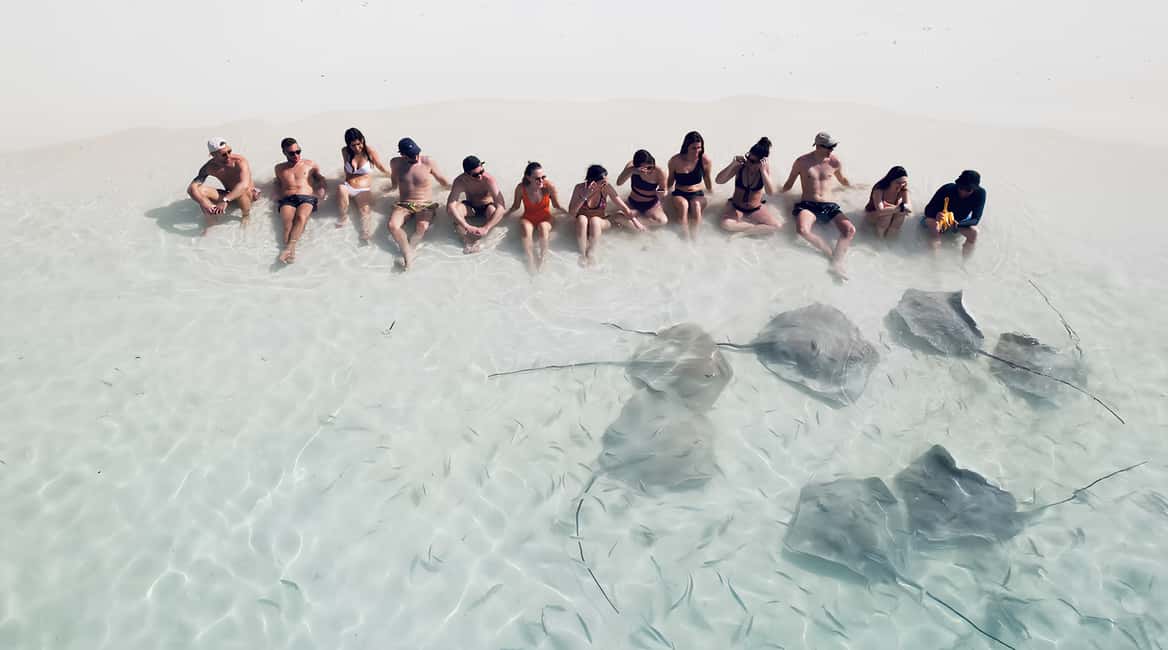 afbeelding n.3 van Maafushi: verpleegsterhaaien, pijlstaartroggen, zandbanken en dolfijnen activiteit in Malediven, geüpload door aanbieder