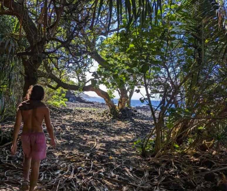 Immagine nº 7 di Escursione alle pozze di marea segrete - Giungla e costa - Privato attività a Pahoa, caricata dal fornitore