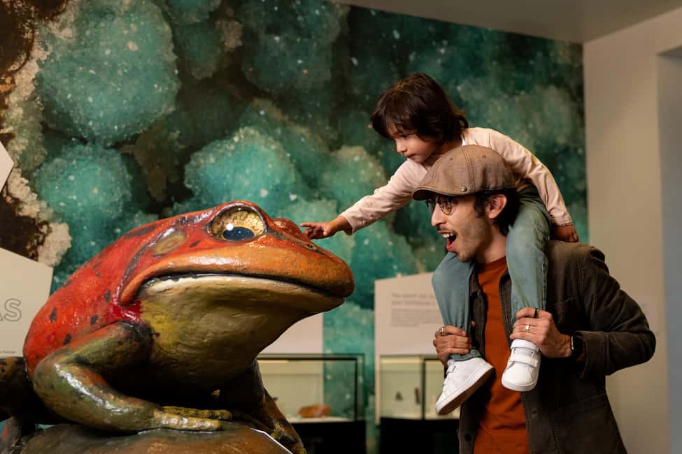 image n.1 of San Diego: San Diego Natural History Museum Ticket activity in San Diego, uploaded by supplier