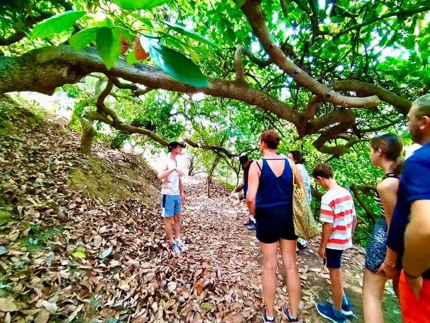 image n.2 of Menton: Citrus Farm, Old-Town & Botanic Full Day Tour activity in Menton, uploaded by supplier