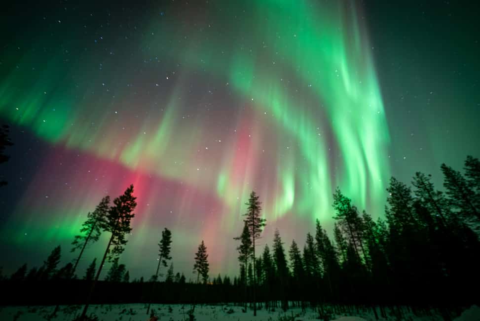 image n.7 of Rovaniemi: Northern Lights Photography Tour & BBQ activity in Rovaniemi, uploaded by supplier