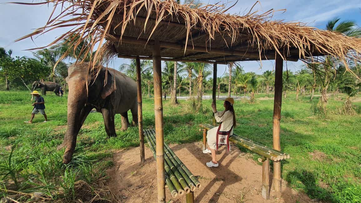 imagen n.º 6 de Desde Bangkok: Excursión de un día al santuario de elefantes Living Green actividad en Provincia de Chon Buri, subida por el proveedor