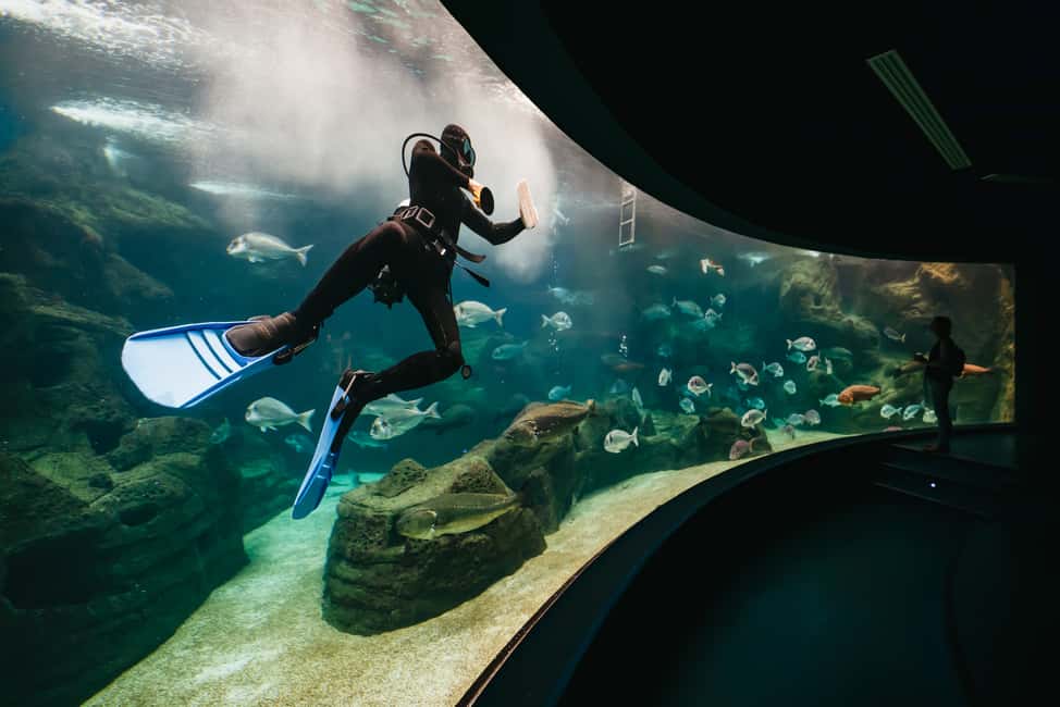 Bild Nr. 2 von Gebiet Heraklion: CRETAquarium Eintrittskarte Aktivität in Heraklion, hochgeladen vom Anbieter