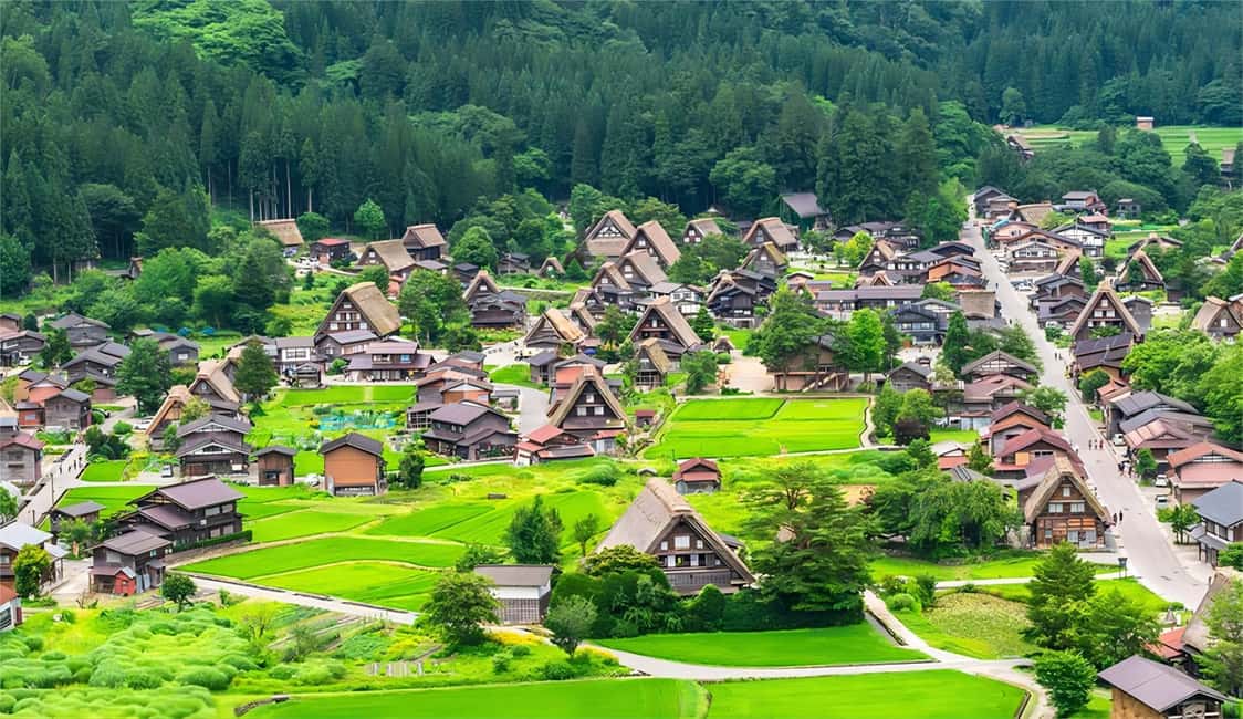 image n.5 of Private Nagoya Tour with Expert English Guide & Hotel Pickup activity in Nagoya, uploaded by supplier
