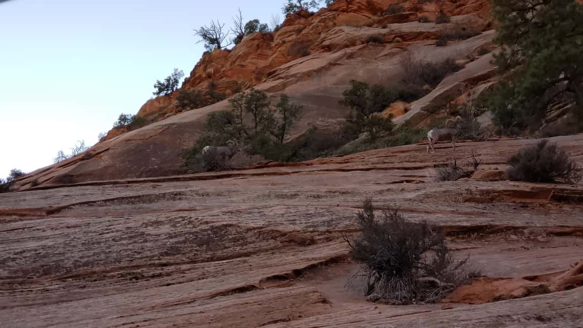 image n.28 of Small Group Tour Zion & Bryce Canyon National from Las Vegas activity in Utah, uploaded by supplier