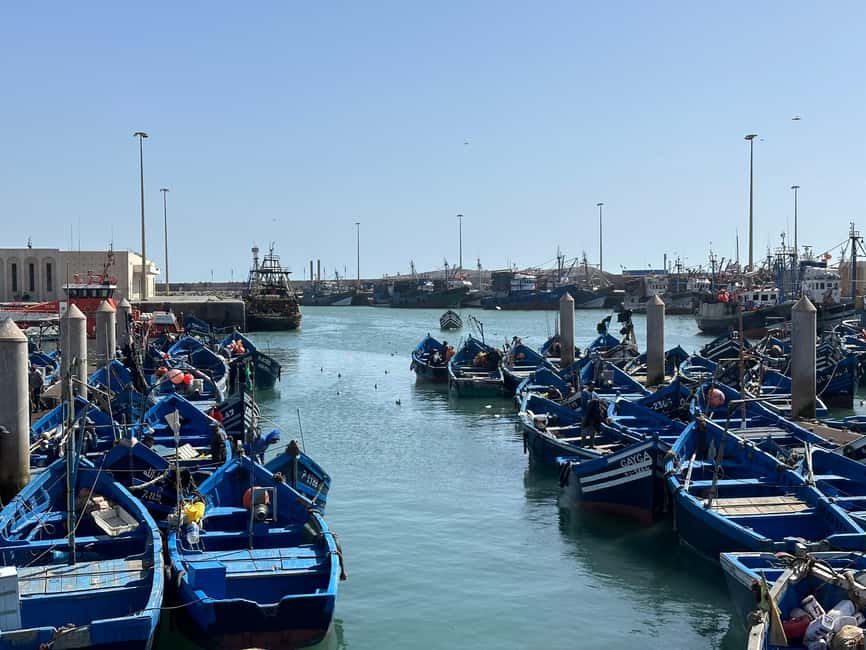 image n.2 of From Marrakech: Essaouira day Trip with camel, horse & quad activity in Essaouira, uploaded by supplier