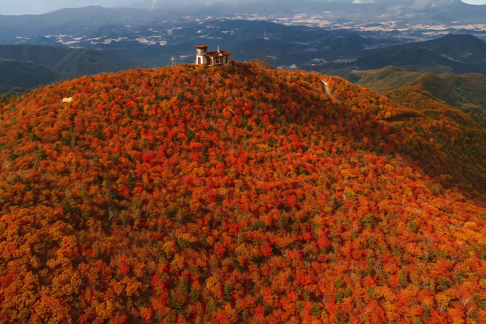 image n.1 of Balwangsan Day Tour: Forest Trails & Scenic Highland Views activity in Gangwon Province, uploaded by supplier