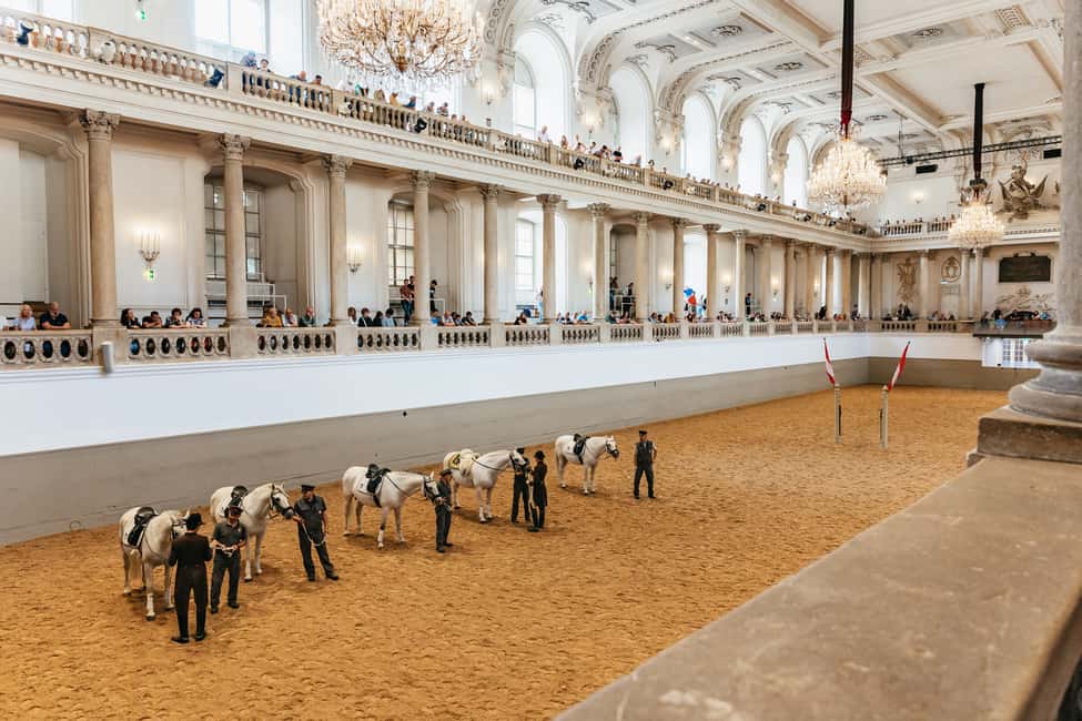 Image N°2 de Vienne : Formation à l'école d'équitation espagnole activité à Vienne, publiée par le prestataire
