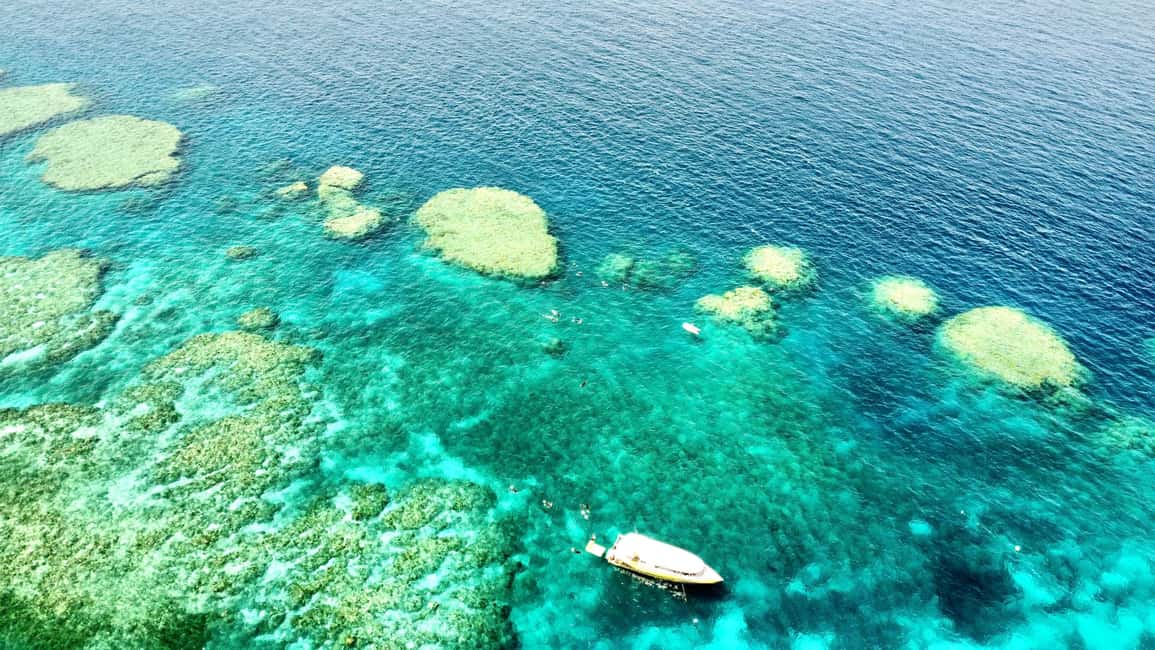 image n.2 of Airlie Beach: Great Barrier Reef & Whitehaven Beach Tour activity in Queensland, uploaded by supplier