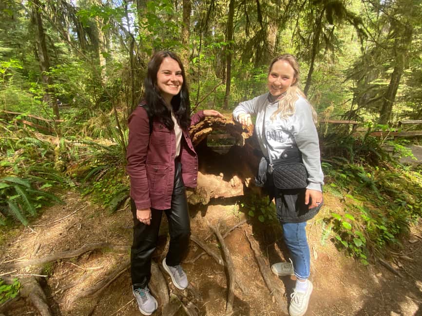 imagem n.8 de Destaques da floresta tropical e do Parque Nacional Olímpico atividade em Port Angeles, carregada pelo fornecedor