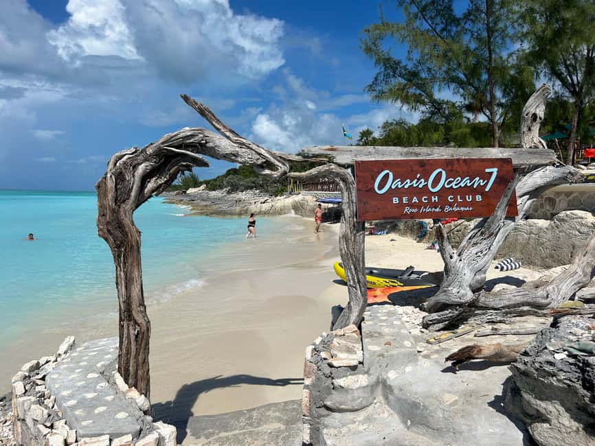Image N°97 de Nassau : Plongée en apnée dans les récifs, tortues, déjeuner et club de plage privé activité à Bahamas, publiée par le prestataire