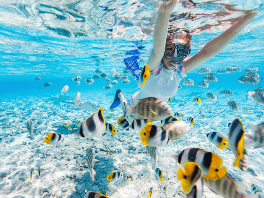 billede nr.8 af aktiviteten Kota Kinabalu | Snorkling på Sapi Island/Manukan Island i Sabah, uploadet af udbyder