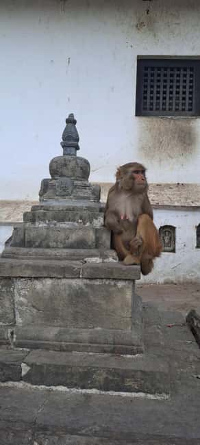 imagen n.º 5 de Katmandú: Teleférico de Chandragiri y Excursión a Swayambhunath actividad en Katmandú, subida por el proveedor
