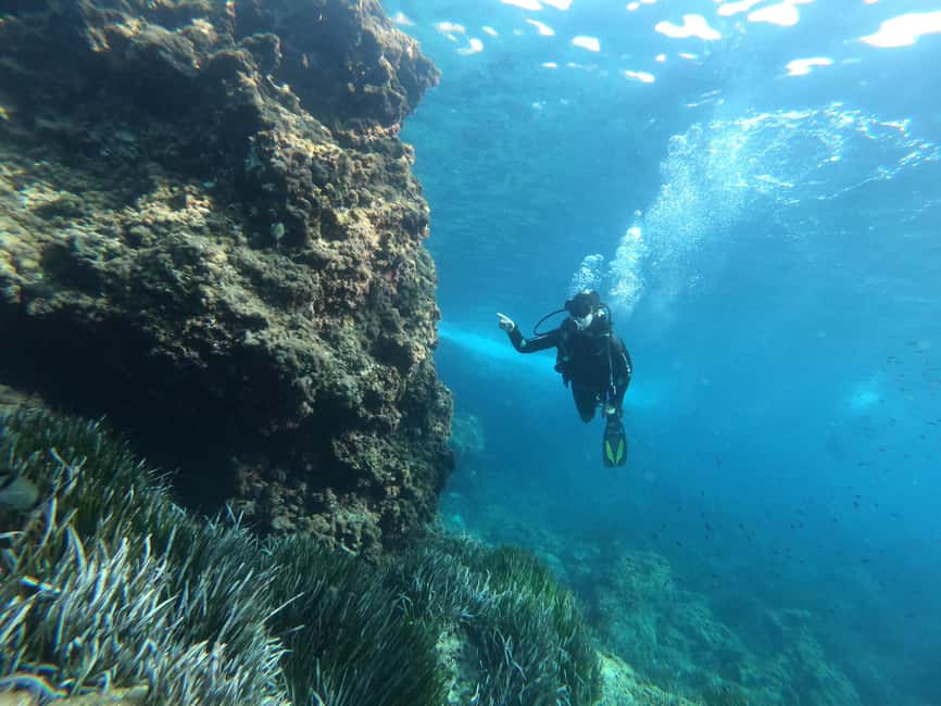 image n.3 of Mallorca: Try Scuba Diving by Boat activity in Porto Cristo, uploaded by supplier