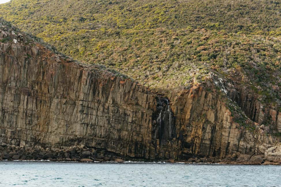 image n.14 of From Port Arthur: Tasman Island Wilderness Cruise activity in Port Arthur, uploaded by supplier