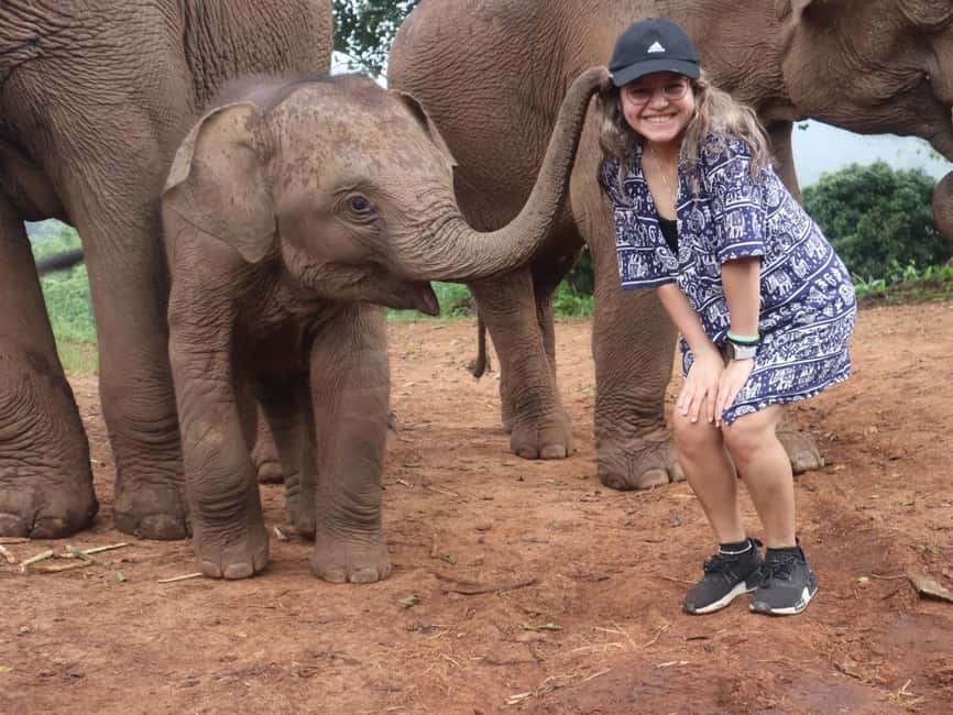 image n.34 of Chiang Mai: Elephant Sanctuary, Waterfall & Bamboo Rafting activity in Chiang Mai, uploaded by supplier