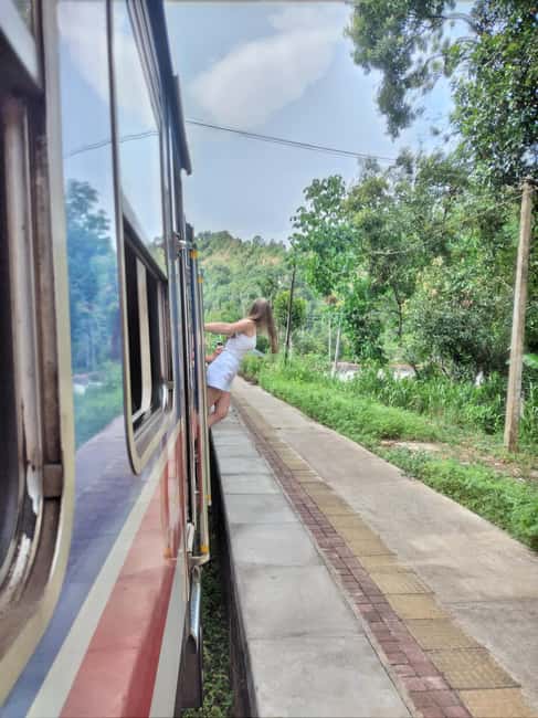 From Ella: Ella Unfogettable Day tour & Train Ride Tour | GetYourGuide