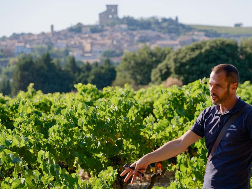 billede nr.1 af aktiviteten Fra Avignon: Châteauneuf du Pape halvdagstur i vinens tegn i Avignon, uploadet af udbyder