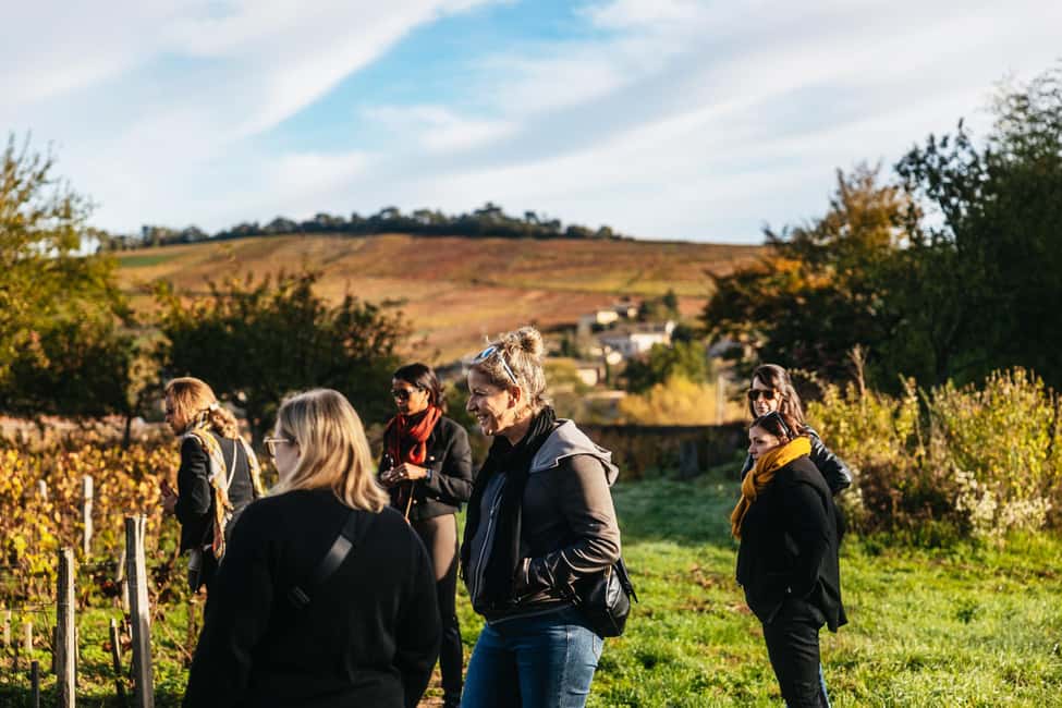 imagen n.º 5 de Desde Lyon: Ruta del Vino Beaujolais con Degustaciones actividad en Lyon, subida por el proveedor