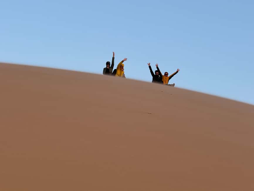 image n.62 of Walvisbay: Sandwich Harbour 4x4 Tour-Unparalleled Experience activity in Erongo, uploaded by supplier