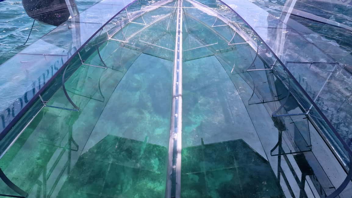 image n.9 of Syracuse: Coast and Sea Caves Full Transparent Boat Tour activity in Syracuse, uploaded by supplier