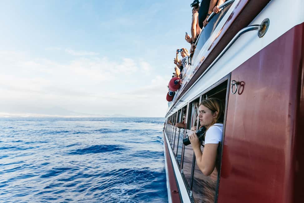 billede nr.26 af aktiviteten Adeje: Hval- og delfinsafari med frokost og svømmetur i Costa Adeje, uploadet af udbyder