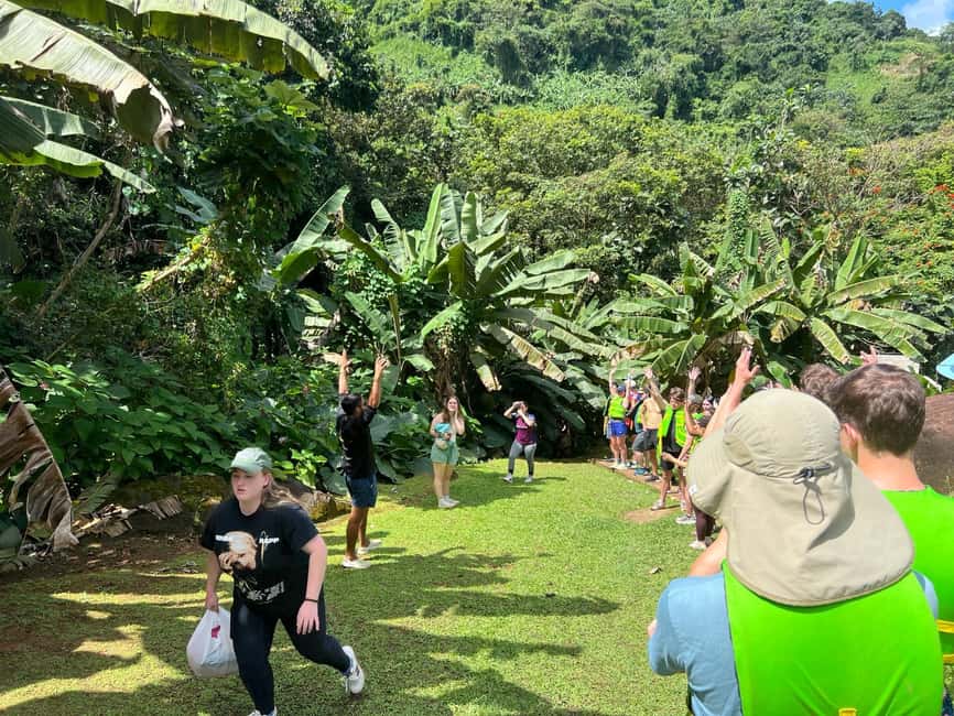 Obraz nr 15 z atrakcji Las deszczowy El Yunque; zjeżdżalnie wodne, plaża, posiłek i wycieczka po sklepach w Río Grande, Portoryko, przesłany przez organizatora