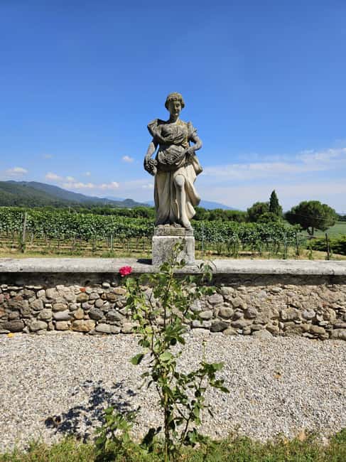 image n.19 of Lake Iseo & Franciacorta Winery. Scenic & Wine Tasting tour activity in Brescia, uploaded by supplier