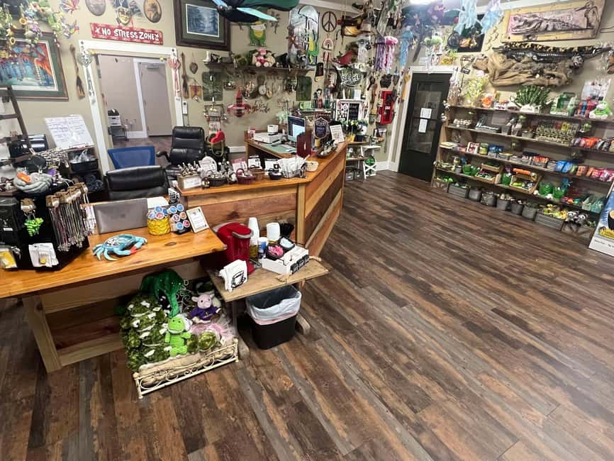 Immagine nº 8 di Crociera nella palude di Manchac Bayou a New Orleans con prelievo facoltativo attività a Louisiana, caricata dal fornitore