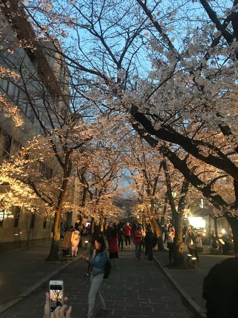 image n.27 of Cycle Kyoto's Hidden Gems & Gion Stroll activity in Kyoto, uploaded by supplier