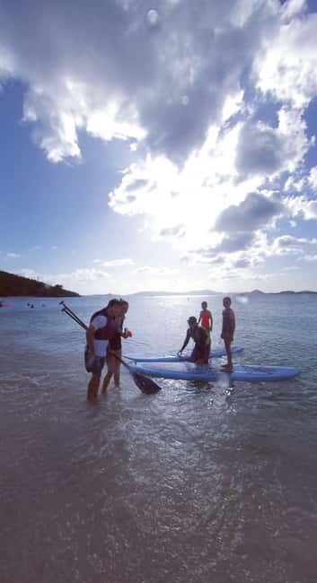 billede nr.2 af aktiviteten Thomas: SUP-udlejning i mangrove-lagunen i Red Hook, Saint Thomas, uploadet af udbyder
