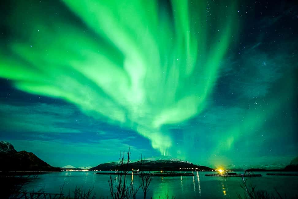 image n.10 of Tromsø: Northern Lights Chase Minibus Tour activity in Tromsø, uploaded by supplier