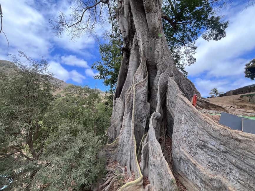 imagem n.32 de Excursão à Ilha de Santiago atividade em Tarrafal, carregada pelo fornecedor