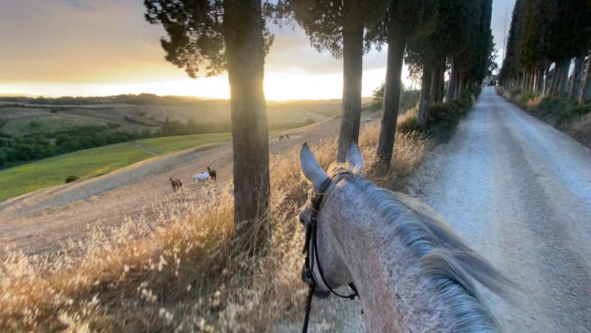 imagen n.º 4 de Siena: Paseos a caballo con Siena al fondo actividad en Siena, subida por el proveedor