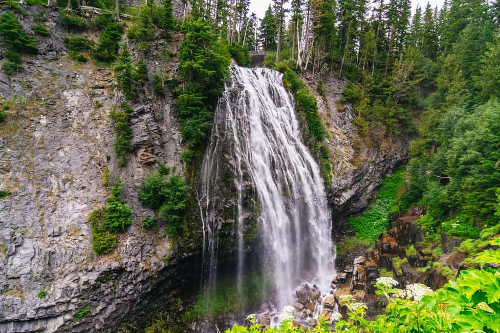 image n.13 of From Seattle: Mount Rainier National Park Guided Tour activity in Washington (State), uploaded by supplier