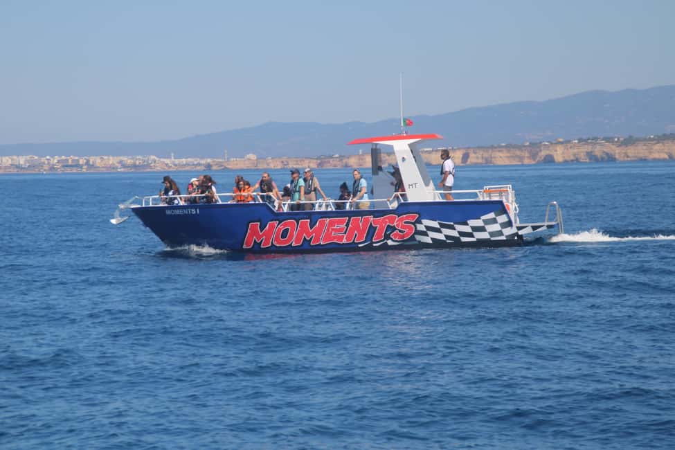 Bild Nr. 17 von Albufeira: Speedboot-Tour Benagil-Höhle und Delfin-Watching Aktivität in Benagil, hochgeladen vom Anbieter