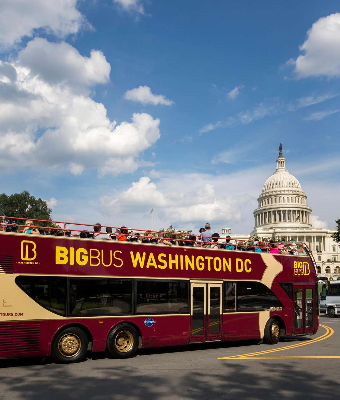 DC: Hop-On Hop-Off with 17 Stops plus Arlington Walking Tour