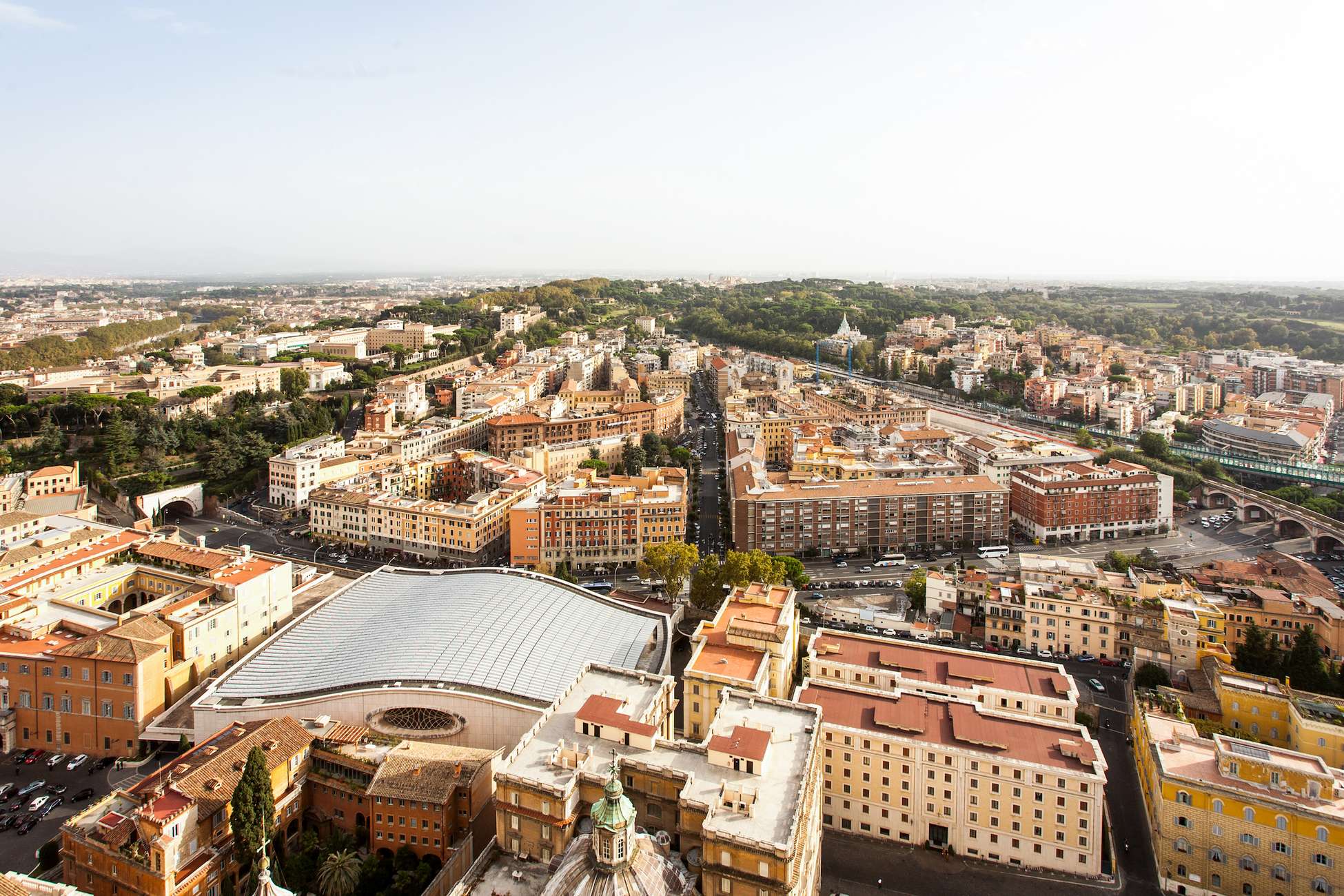Rome: St. Peter's Basilica & Dome Entry Ticket & Audio Tour
