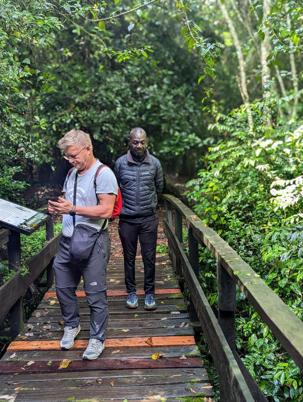 Climbing Kilimanjaro: Marangu Route Guided Tour